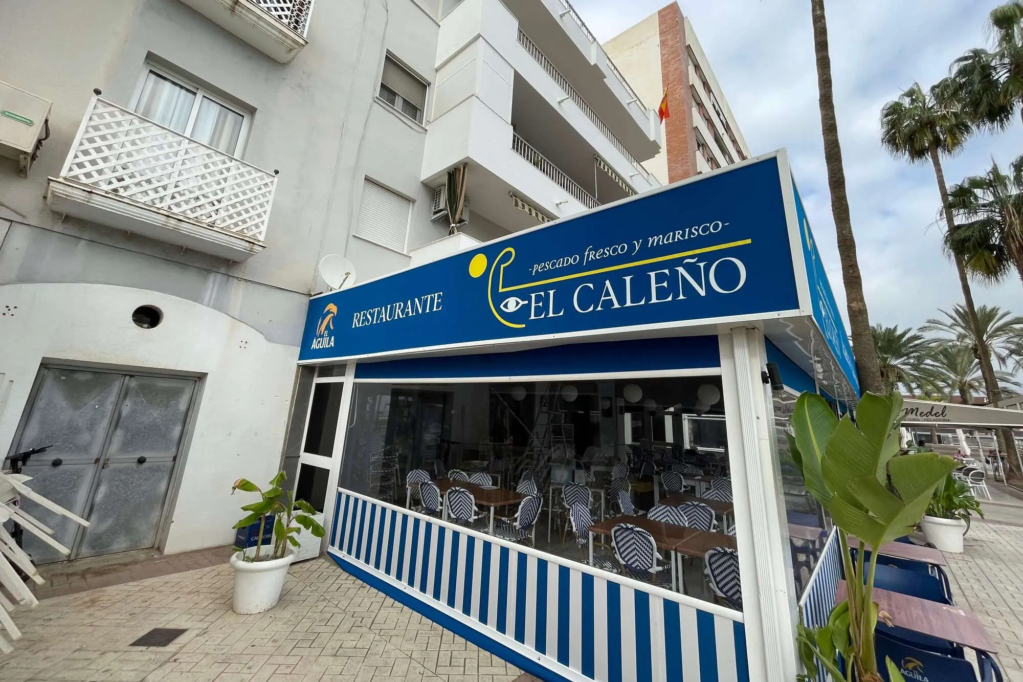 Mejor restaurante de pescado en Torre del Mar