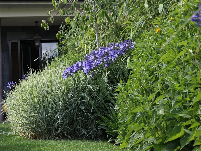 Jardinería Carlos Arias, S.L.